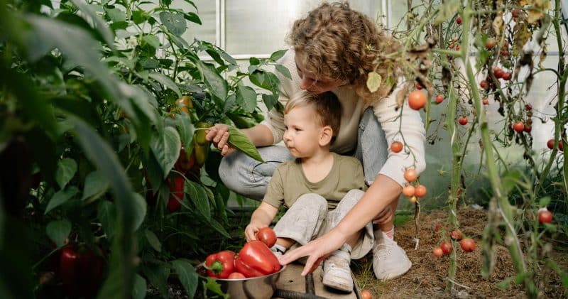 Faire manger des légumes aux enfants