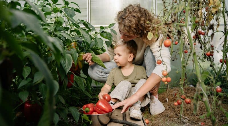 Faire manger des légumes aux enfants